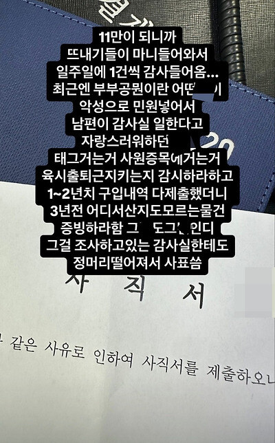 공무원 인플루언서가 면직한 이유_1.jpg