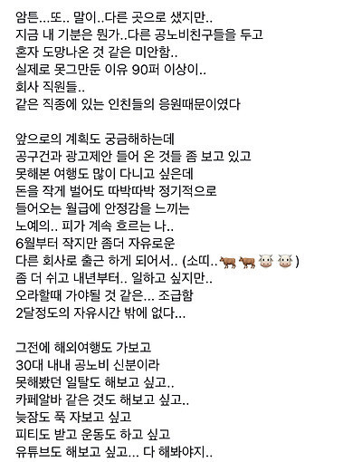 공무원 인플루언서가 면직한 이유_4.jpg