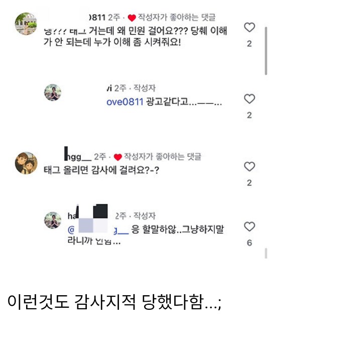 공무원 인플루언서가 면직한 이유_6.png