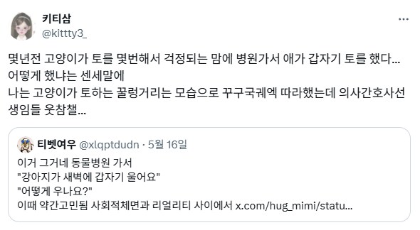 고양이 토하는게 걱정되어서 병원에서 그대로 설명함.jpg_1.png
