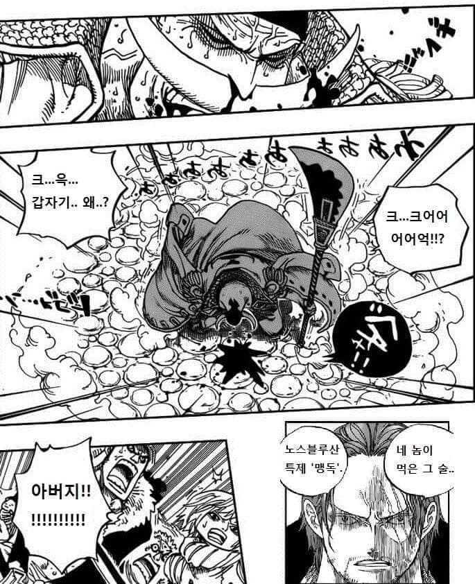 원피스 공식이 된 음해_2.jpg