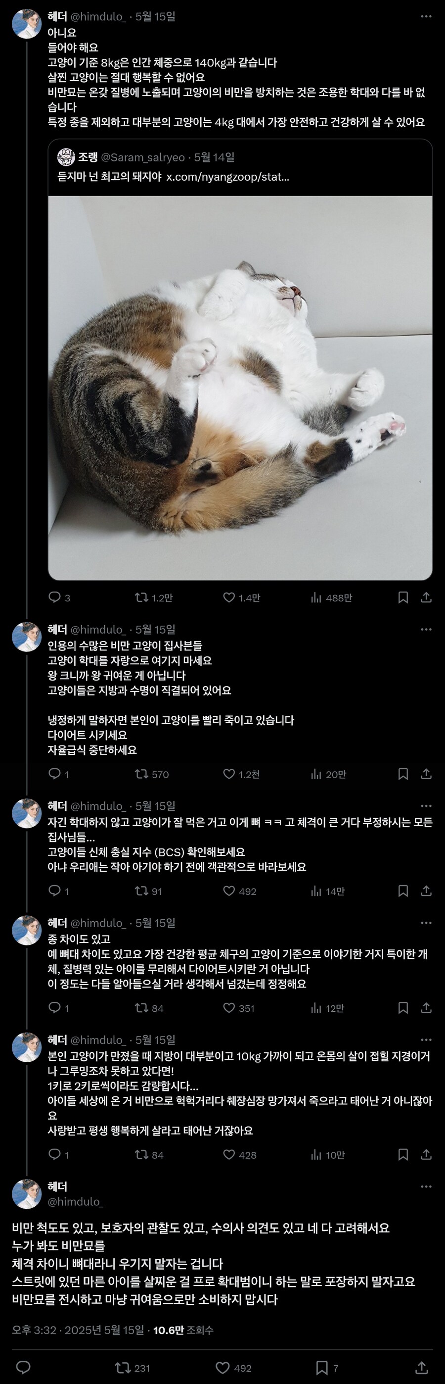 의외로 고양이 학대행위에 해당하는거_1.png