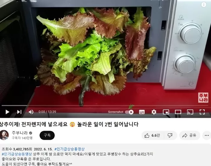 다른 유튜버를 모방하다 걸린 유튜버_2.webp