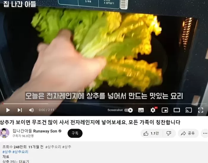 다른 유튜버를 모방하다 걸린 유튜버_1.webp