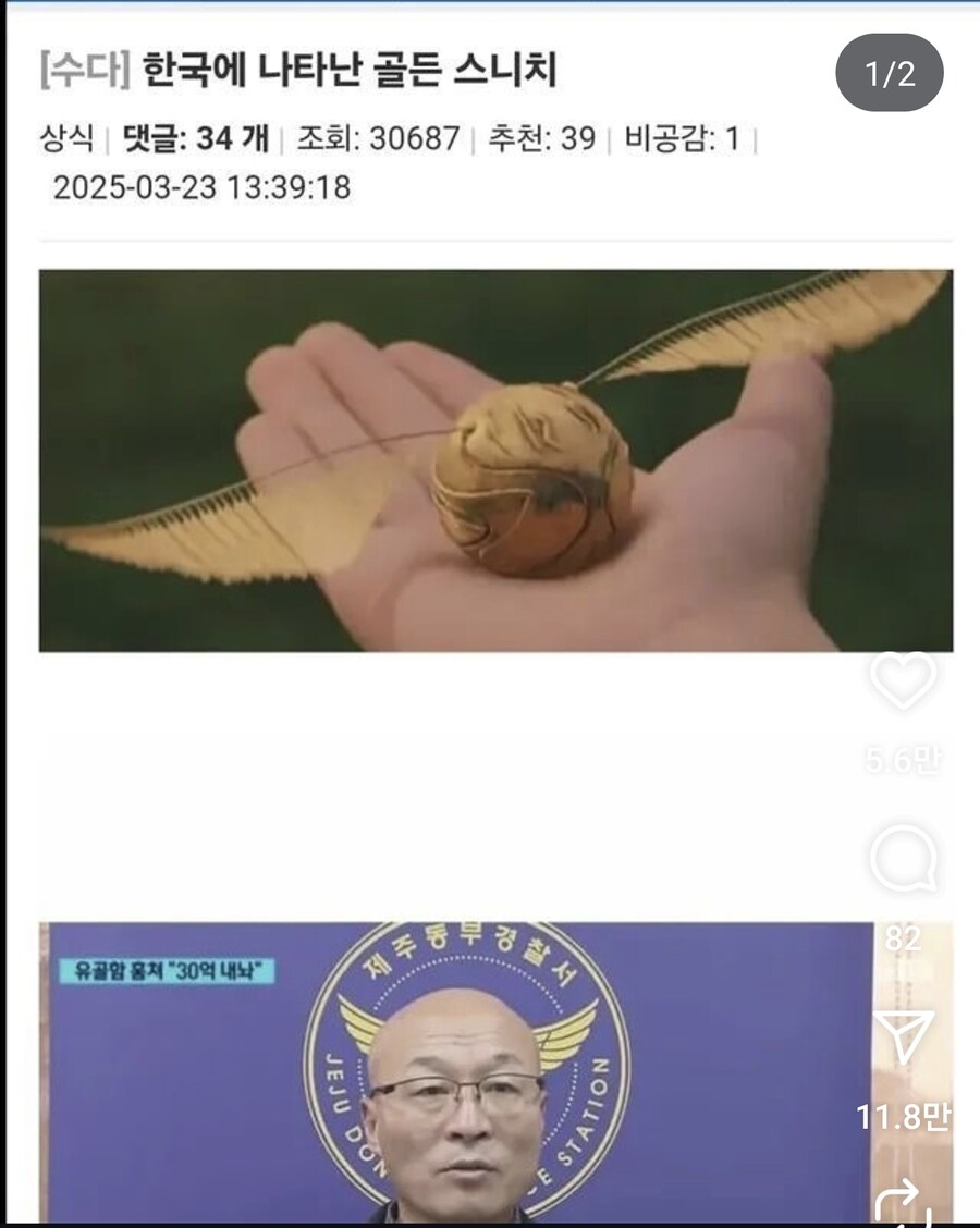 한국에 나타난 골든 스니치.jpg_1.jpg