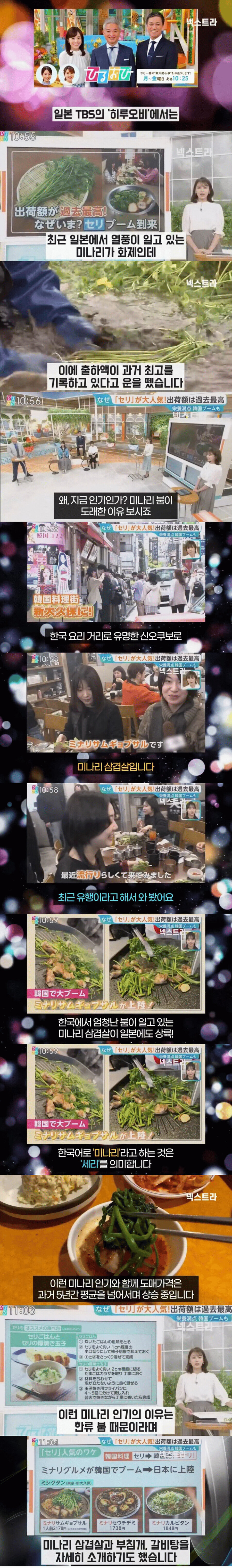 일본에서 미나리 소비가 늘어나고 있다는 소식_1.jpg