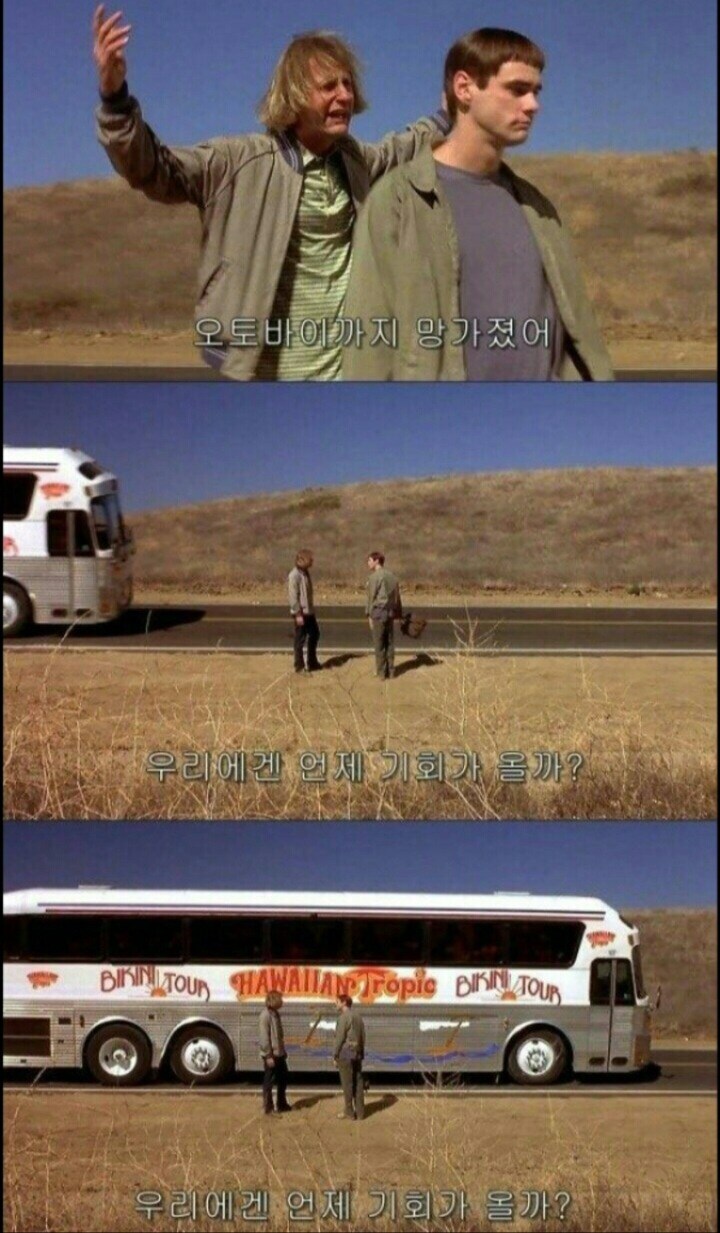 많은 사람들이 잘 모르는 덤 앤 더머 엔딩_1.jpg