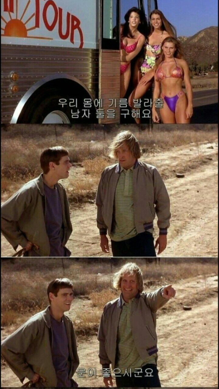 많은 사람들이 잘 모르는 덤 앤 더머 엔딩_3.jpg