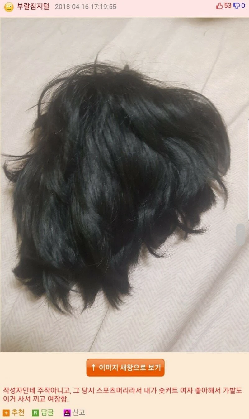 웃대 최악의 이상성욕 대회 우승자_2.webp
