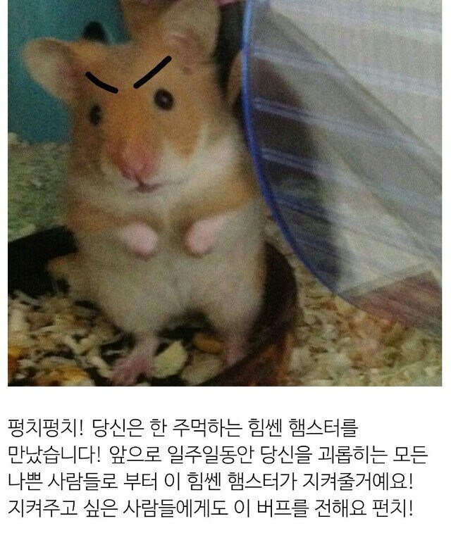 앗, 햄돌이가 여러분을 응원해요!_1.jpg