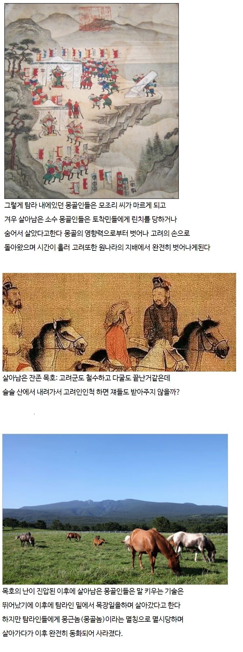 몽골이 멸망하고 고려에 남아있던 몽골인들의 최후.jpg_2.jpg
