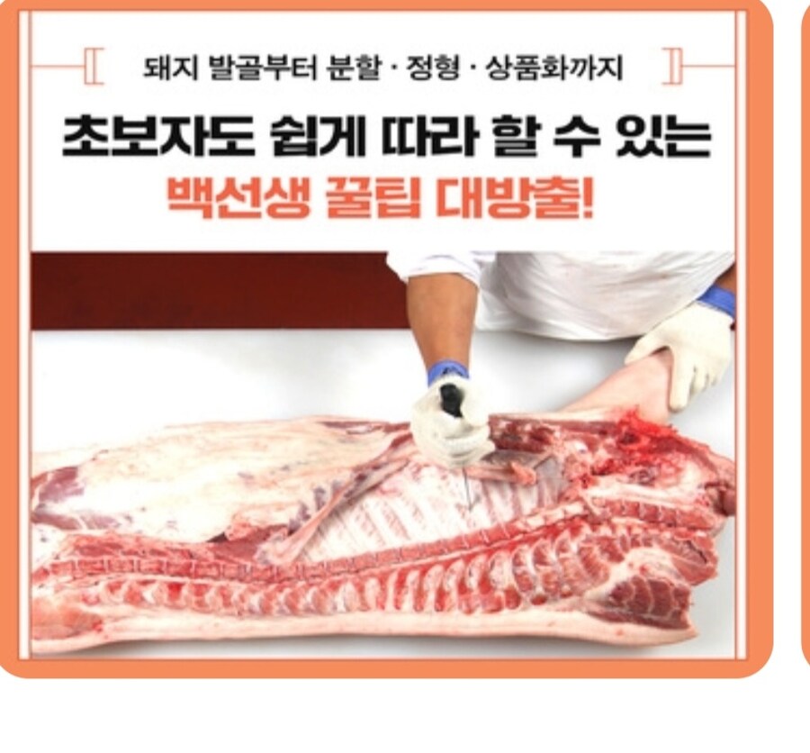 돼지 발골 전문가 백종원의 당시 유튜브 댓글_10.jpg