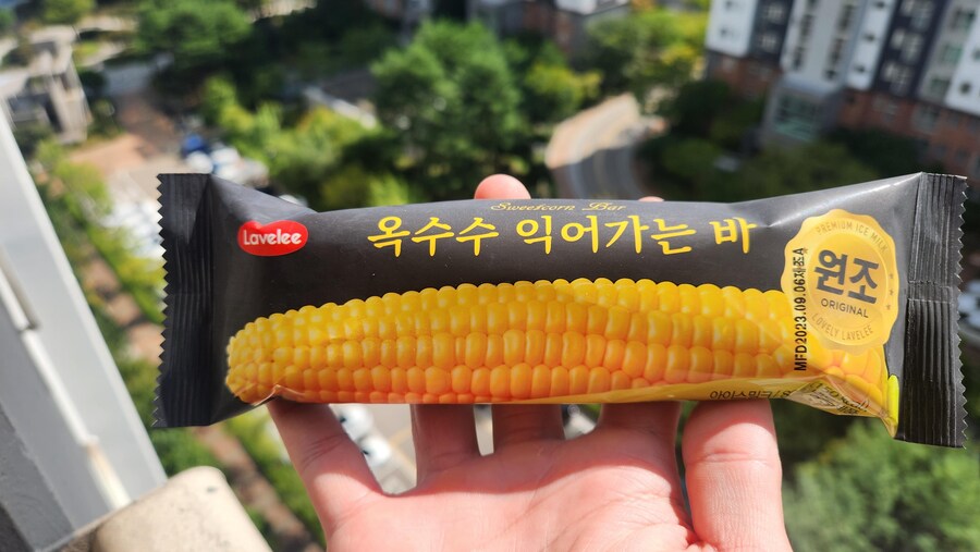 옥수수가 맛있어지는 시기가 슬슬 다가온다._5.jpg