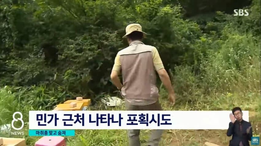 민가에 내려왔다 사망한 반달곰.jpg_3.jpg