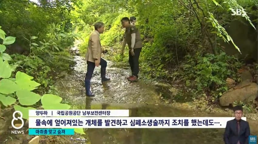 민가에 내려왔다 사망한 반달곰.jpg_5.jpg