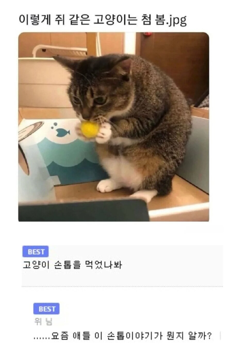 고양이 손톱을 먹은 쥐.jpg_1.png