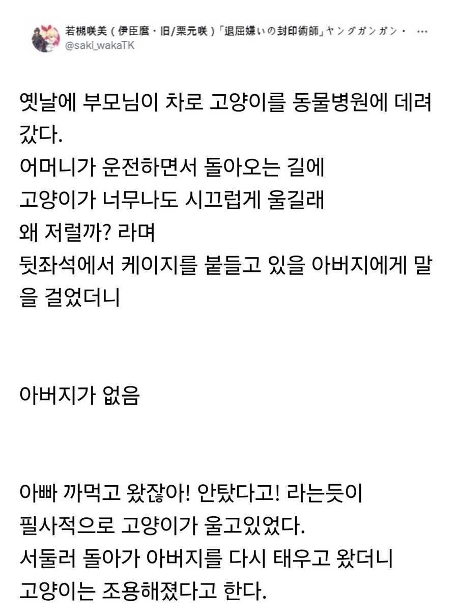동물병원을 다녀온 고양이가 계속 우는 이유_1.jpg