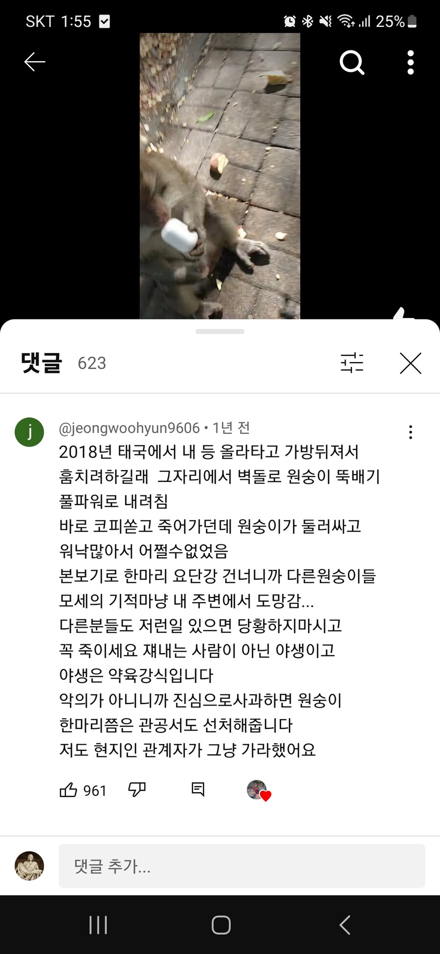 야생 원숭이가 사람 물건 훔치려 할 때 대처법.jpg_1.jpg