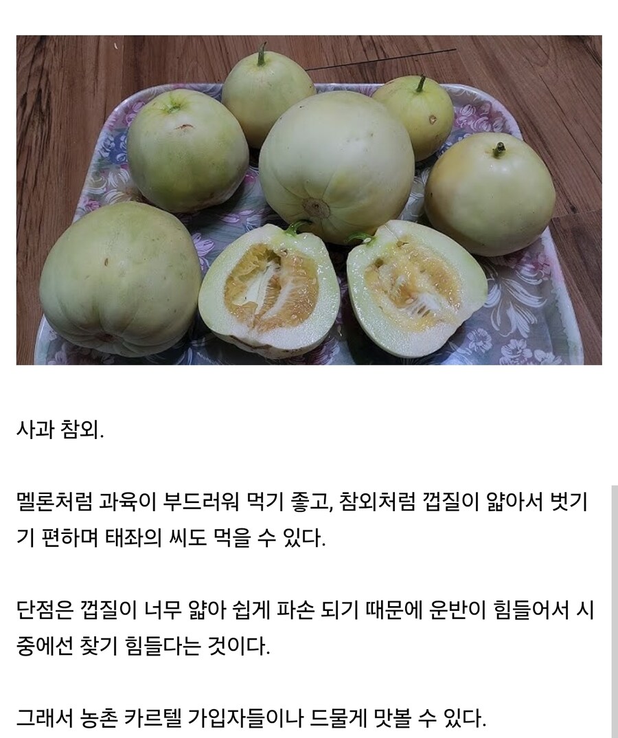 참외를 코리안 멜론이라고 해도 괜찮은 이유.jpg_1.jpg