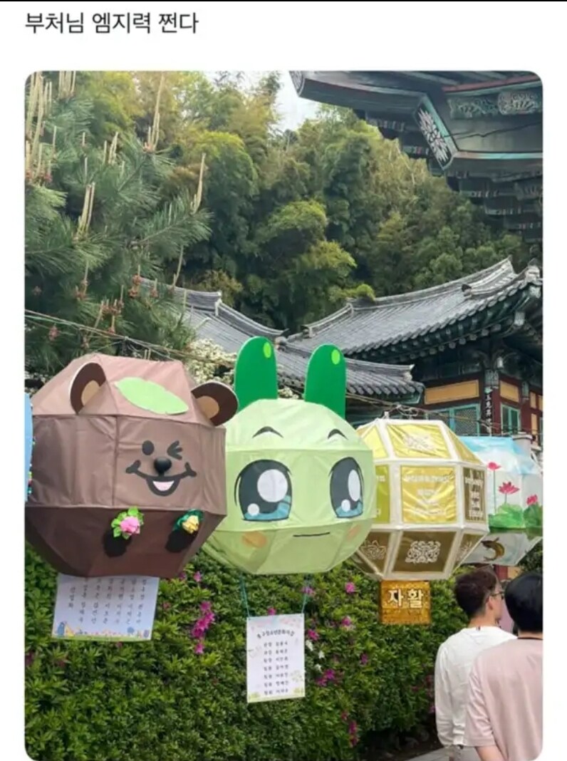 MZ한 등불_1.jpg