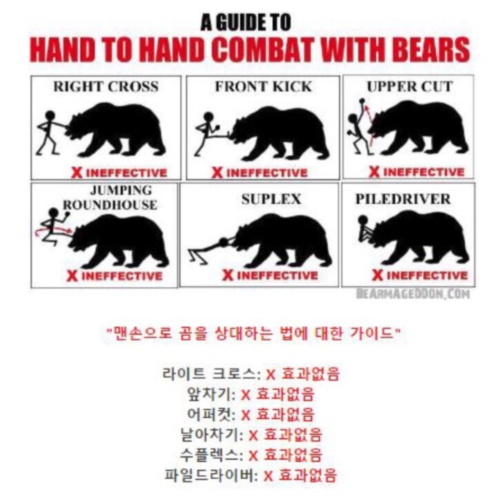 야생곰을 만났을때 대처법.jpg_1.jpg