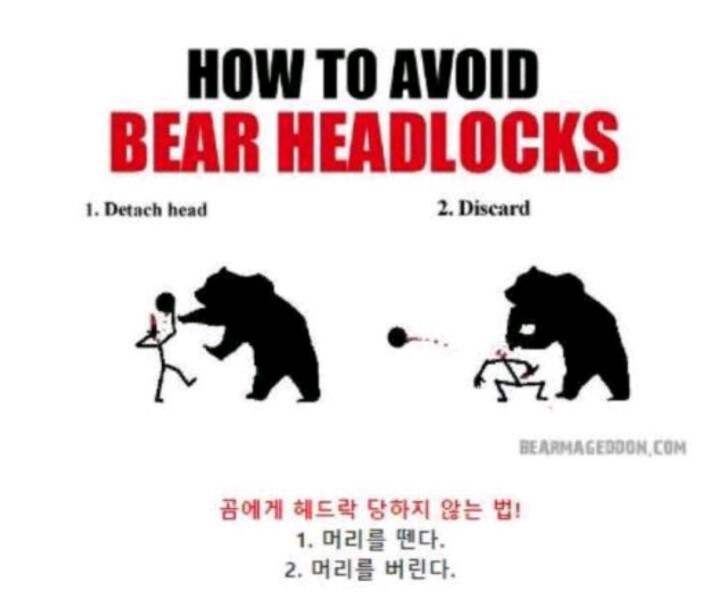 야생곰을 만났을때 대처법.jpg_2.jpg