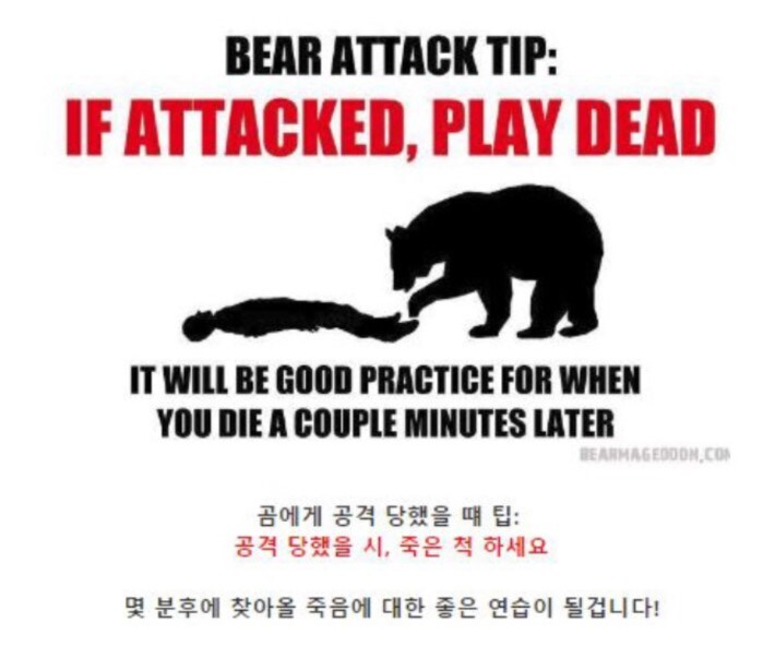 야생곰을 만났을때 대처법.jpg_4.jpg