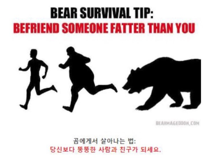 야생곰을 만났을때 대처법.jpg_5.jpg