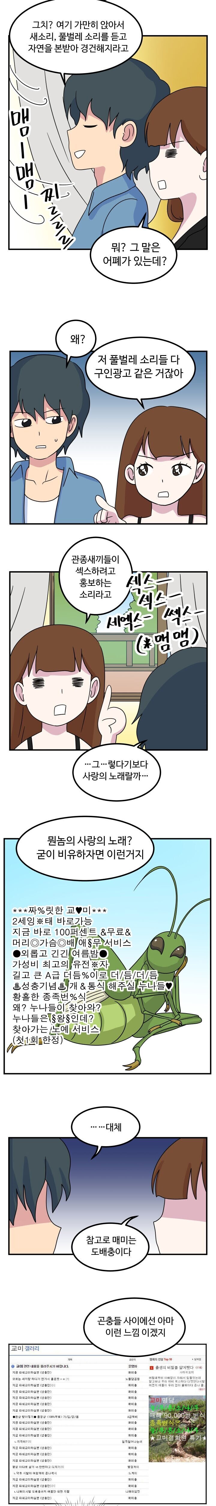 매미 울음소리의 진실_1.jpg