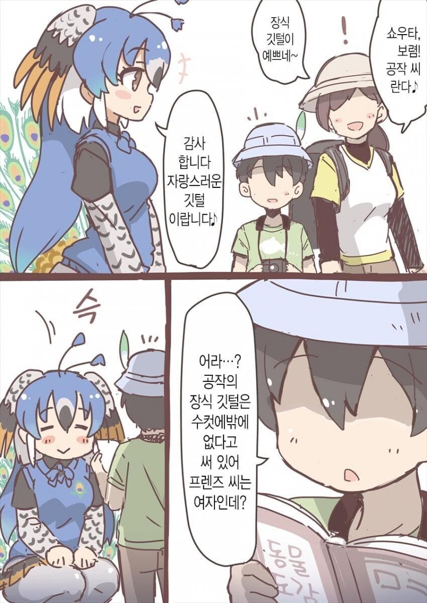 ? : 공작의 깃털은.. 수컷만 있는 것이...?_1.jpg