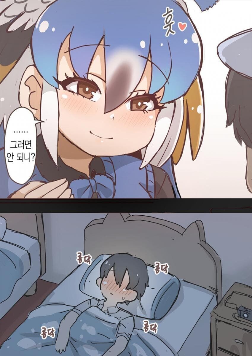 ? : 공작의 깃털은.. 수컷만 있는 것이...?_2.jpg