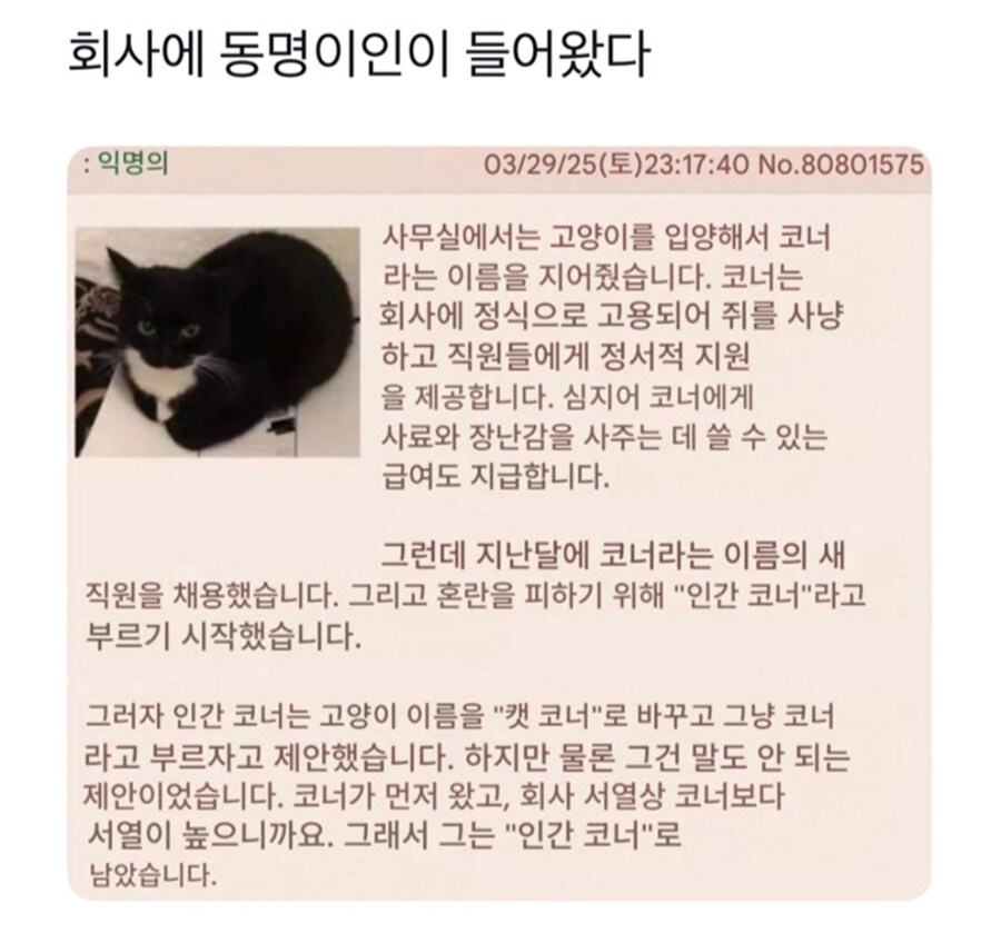 회사에 동명이인이 들어왔다_1.jpg