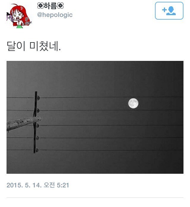 「미친 달이다」_1.jpg