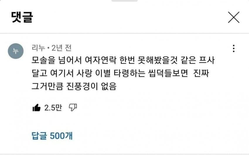 무려 리플이 500개달린 유튜브 댓글_1.jpg