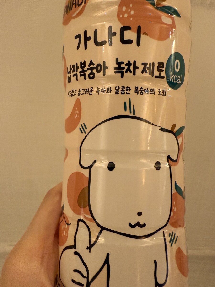 일본 가수 아도가 내한 공연와서 먹고간것들_3.jpg