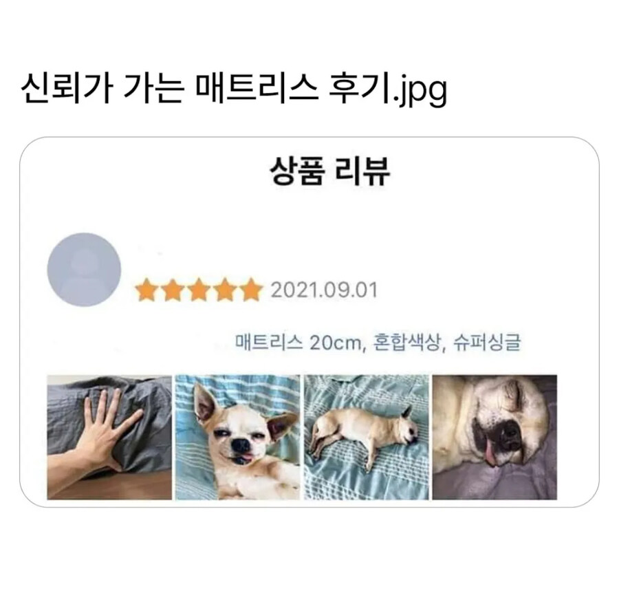 신뢰가는 매트리스 후기_1.jpg
