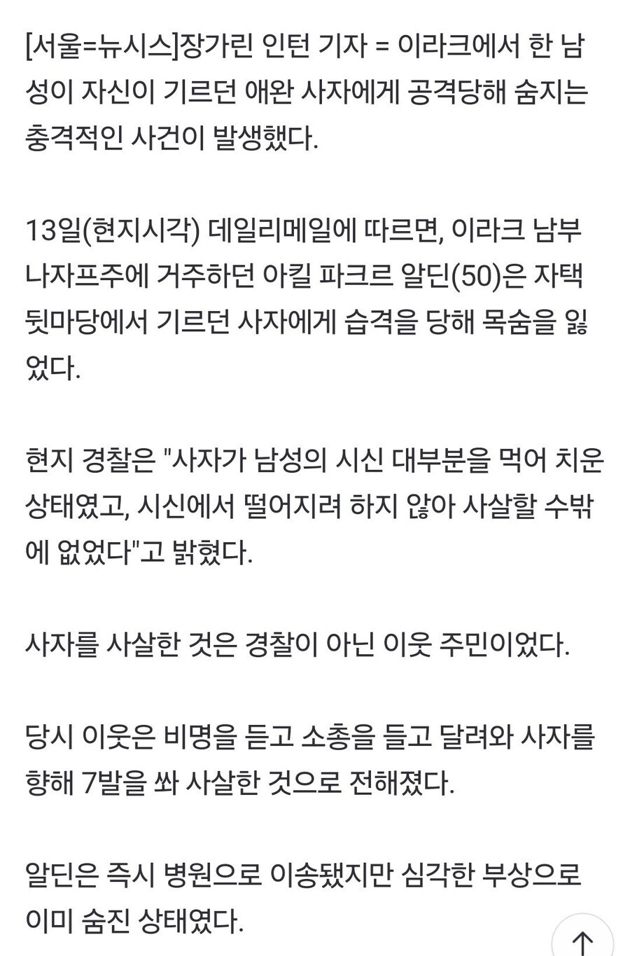 키울려고 사온 애완사자한테 골로간사람.....jpg_2.jpg
