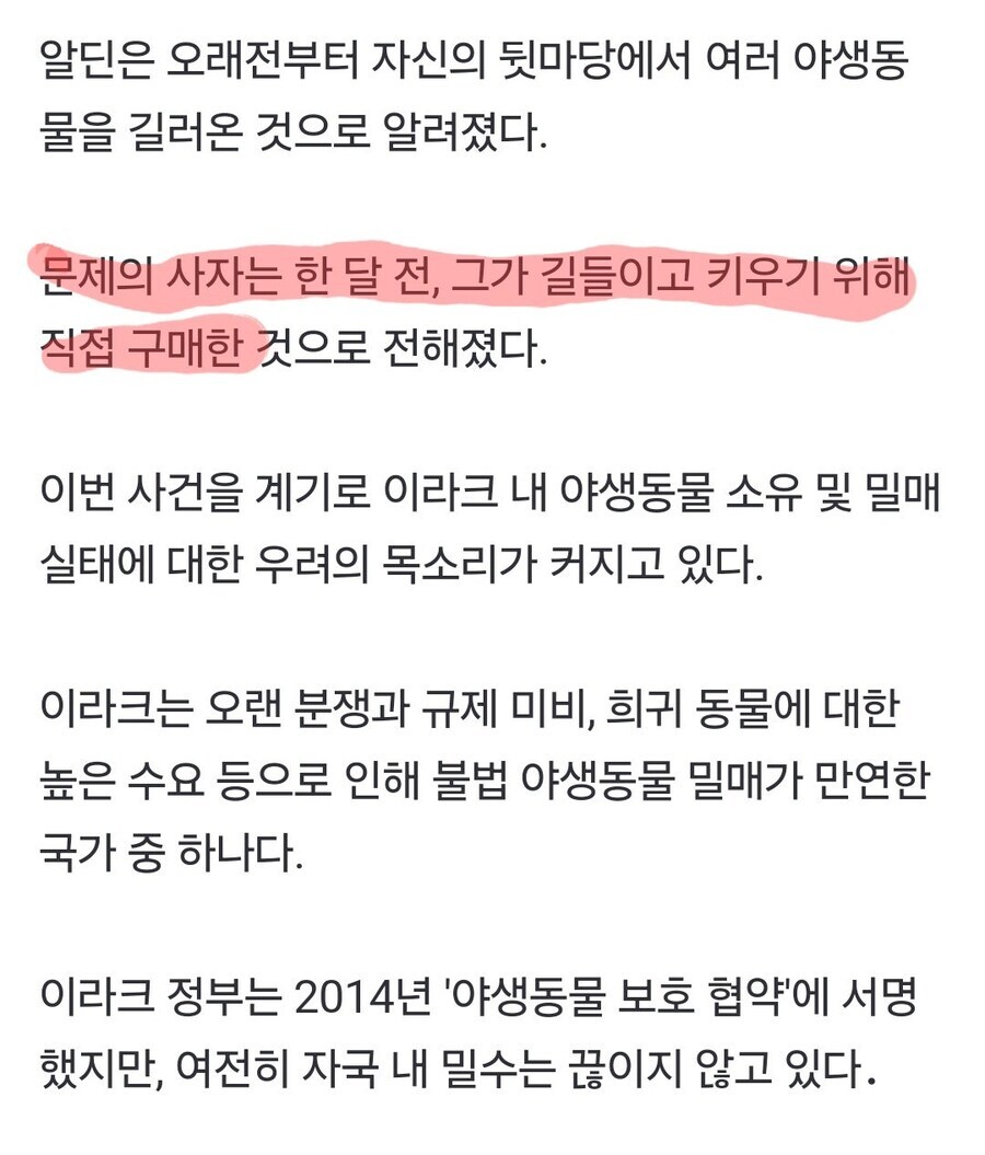 키울려고 사온 애완사자한테 골로간사람.....jpg_3.jpg