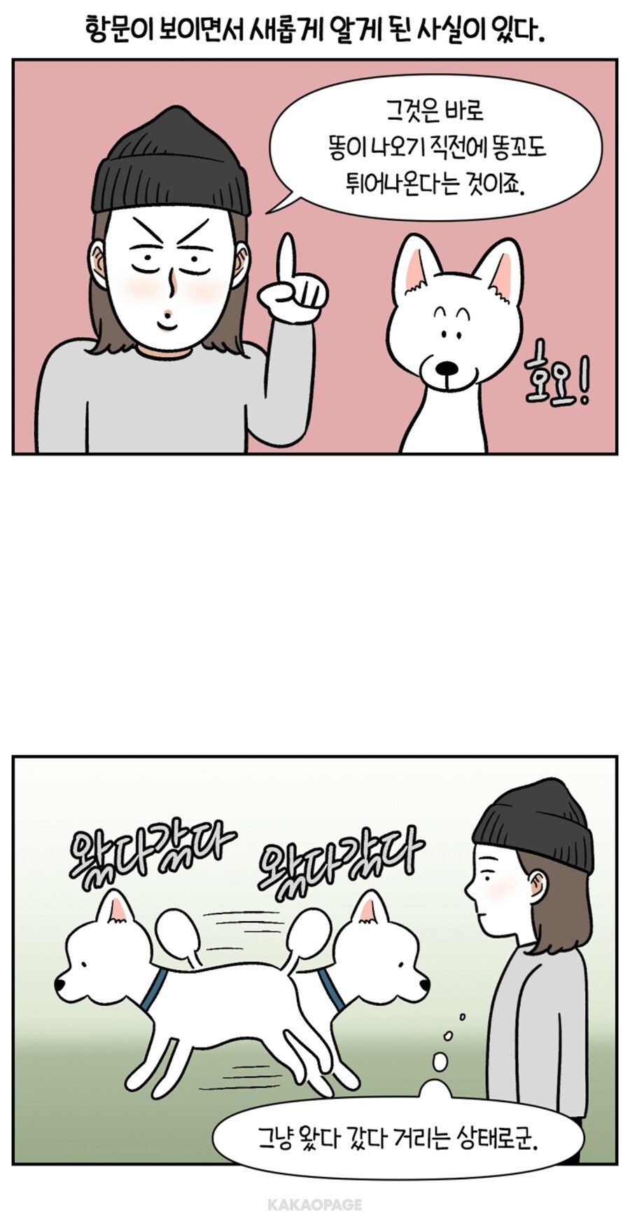 개 똥싸기 직전 구멍을 알게 되버린 보호자_2.jpg