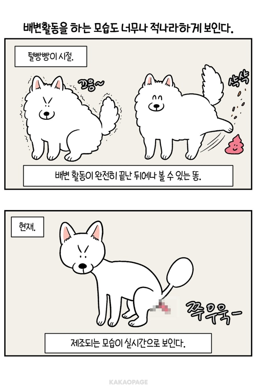 개 똥싸기 직전 구멍을 알게 되버린 보호자_1.jpg
