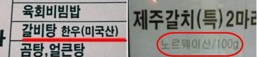 사기꾼들이 살기 좋은 나라._1.png