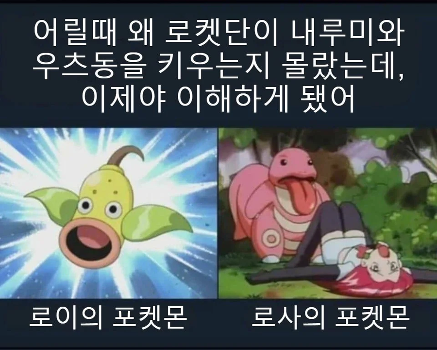 어른이 되어서야 알게된 로켓단의 비밀_1.webp
