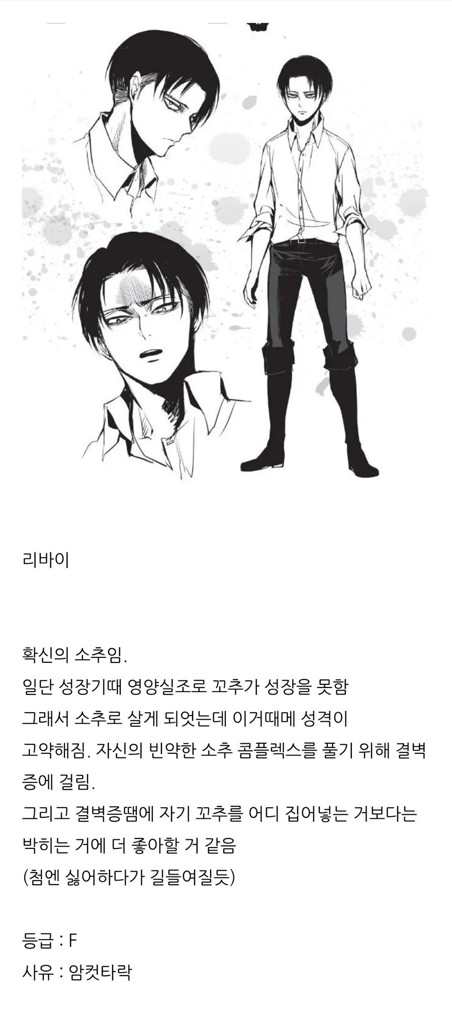 진격거 등장인물 분석_2.jpg