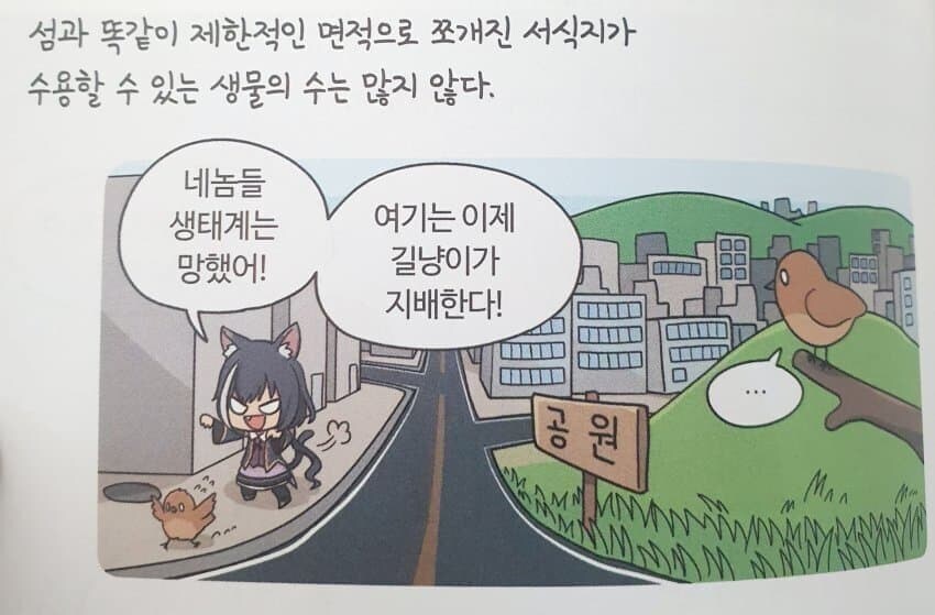 캬루가 나쁜 이유_1.jpg