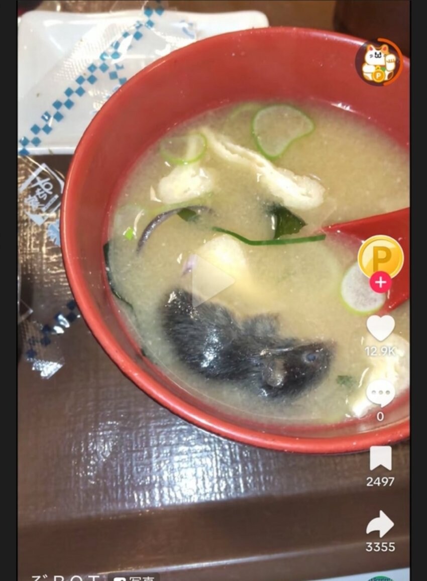 약혐?) 일본 최대 규동 체인점 된장국에서 나온 것_2.jpg