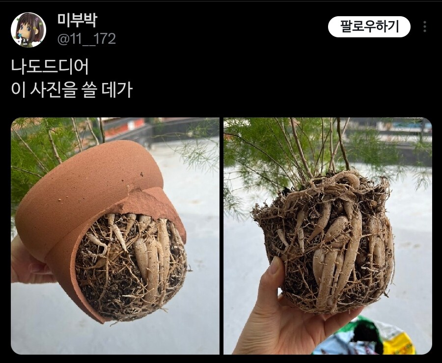 아스파라거스 특) 존나 강함_4.jpg