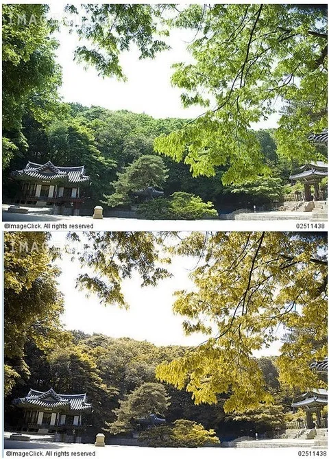 진라면 약간매운맛 구별 잘 안되는 사람들은_2.webp