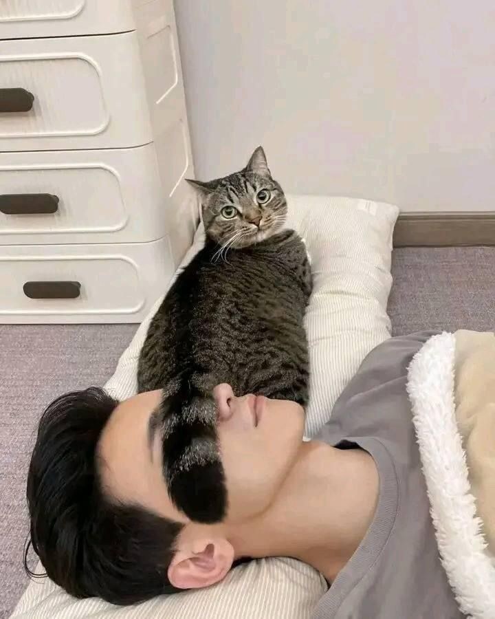 고양이 오가닉 안대️_1.jpg