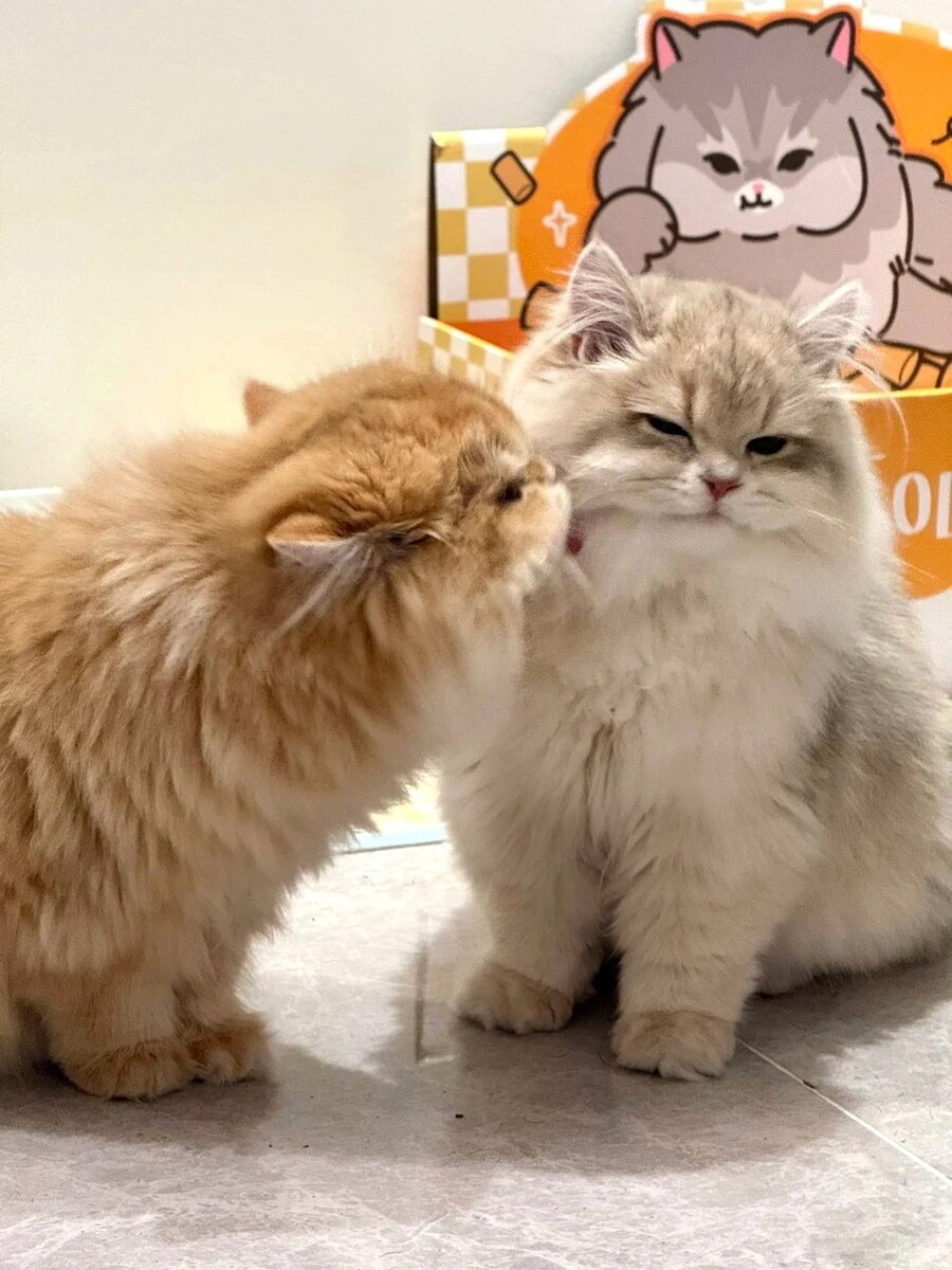 고양이: 으으, 극혐_1.jpg