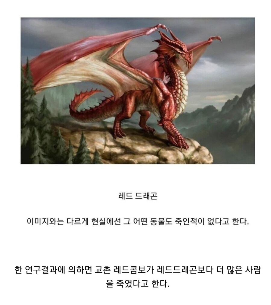 의외로 사람을 죽인적이 없는 동물.jpg_1.jpg
